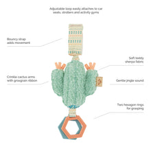 Load image into Gallery viewer, Ritzy Jingle™ Cactus Attachable Travel Toy