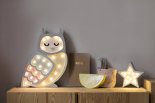 Load image into Gallery viewer, Little Lights Owl Lamp