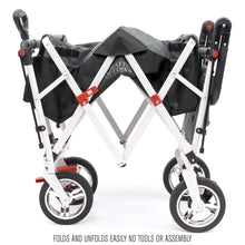 Load image into Gallery viewer, Push Pull Silver Series Plus Folding Wagon Stroller With Canopy- Black