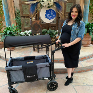 WonderFold W1 Multifunctional Double Stroller Wagon (2 Seater)