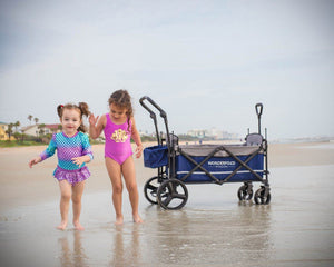 WonderFold X2 Pull & Push Double Stroller Wagon (2 Seater)